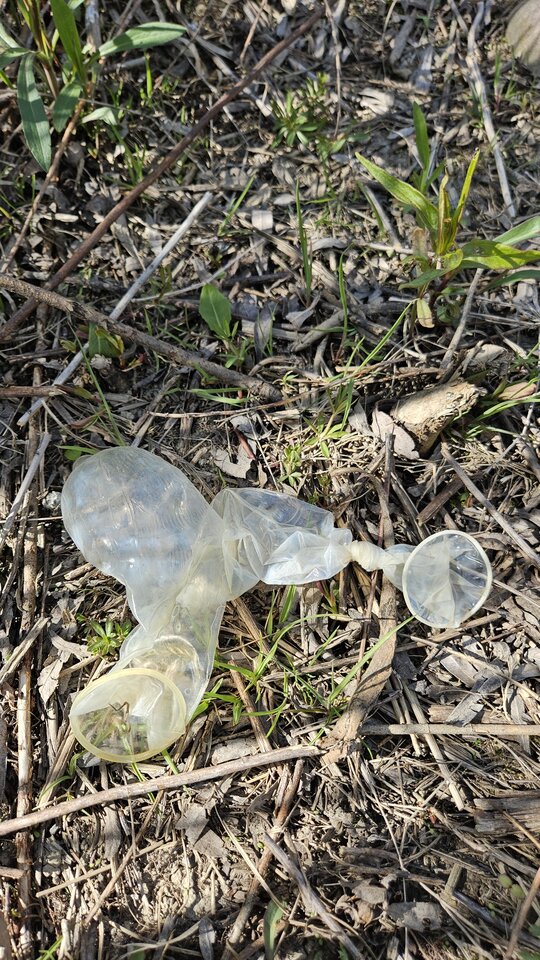 1000054839.jpg - nowytomas