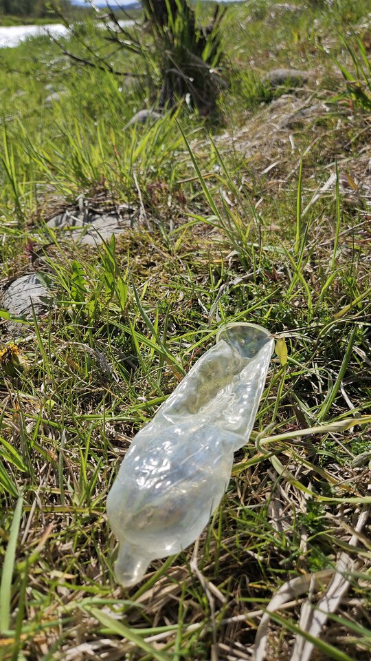 1000054846.jpg - nowytomas