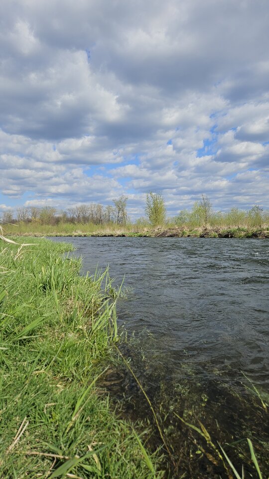 1000054888.jpg - nowytomas