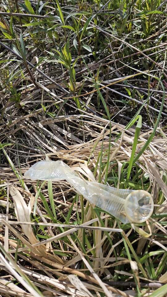 1000054859.jpg - nowytomas