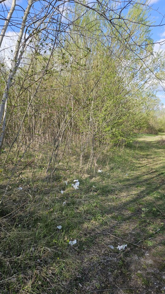 1000054897.jpg - nowytomas