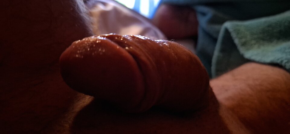 1000049669.jpg - TangoLibido_on