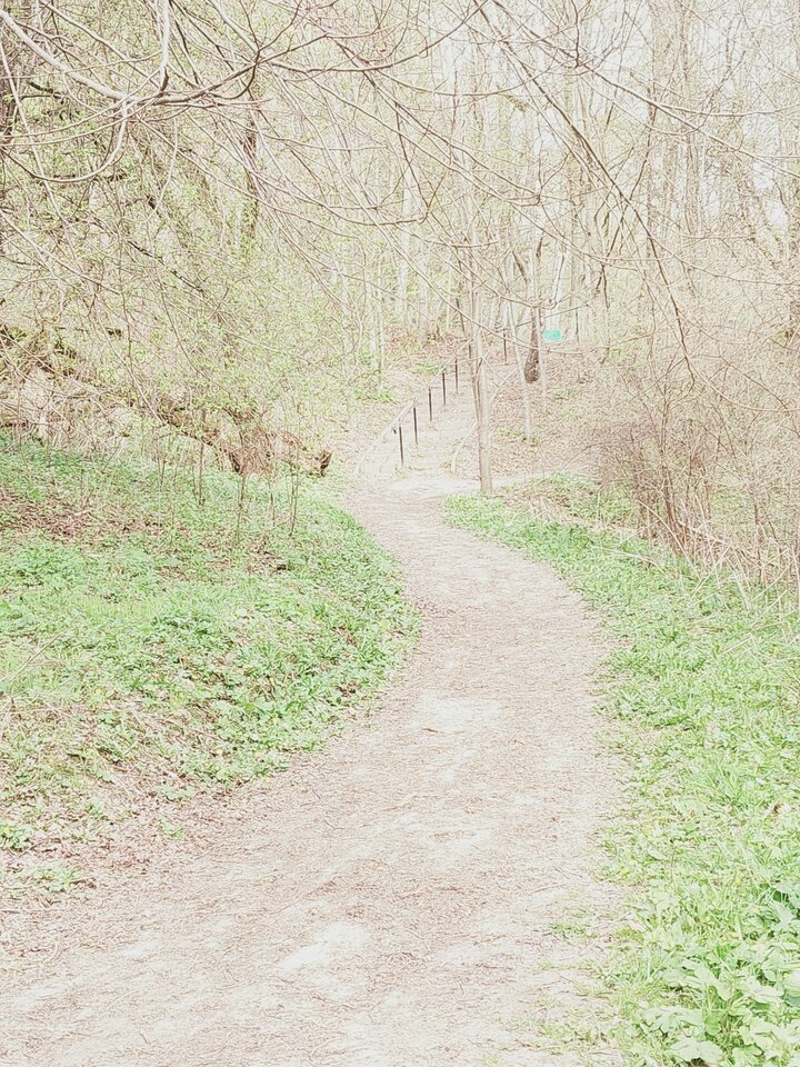 1000020920.jpg - dino8