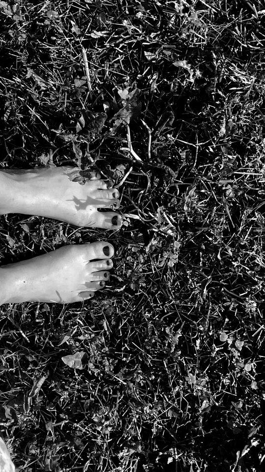 7458.jpg - findomma49