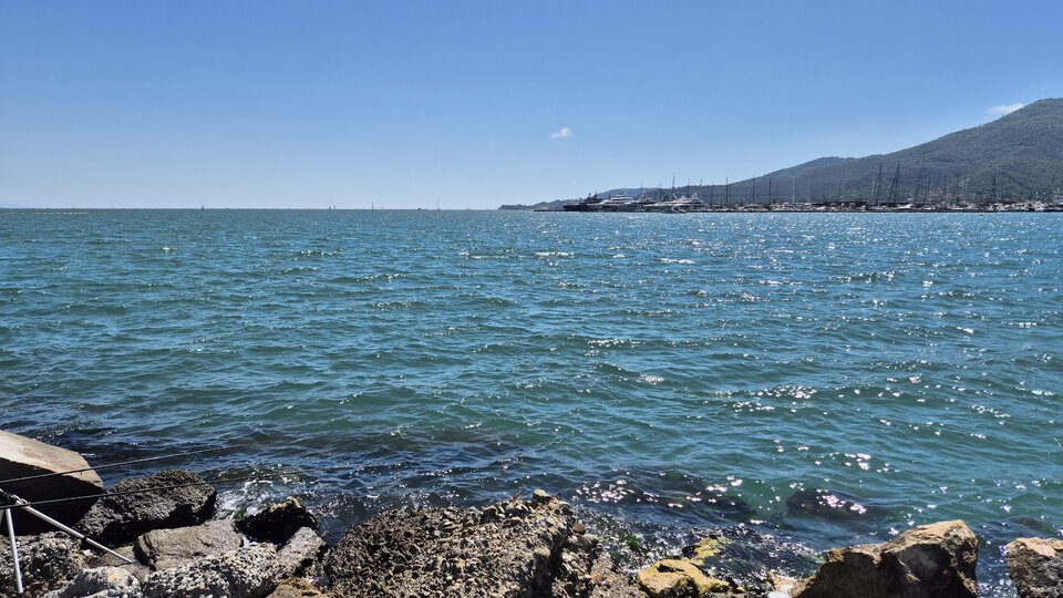 1000031420.jpg - Tedi454