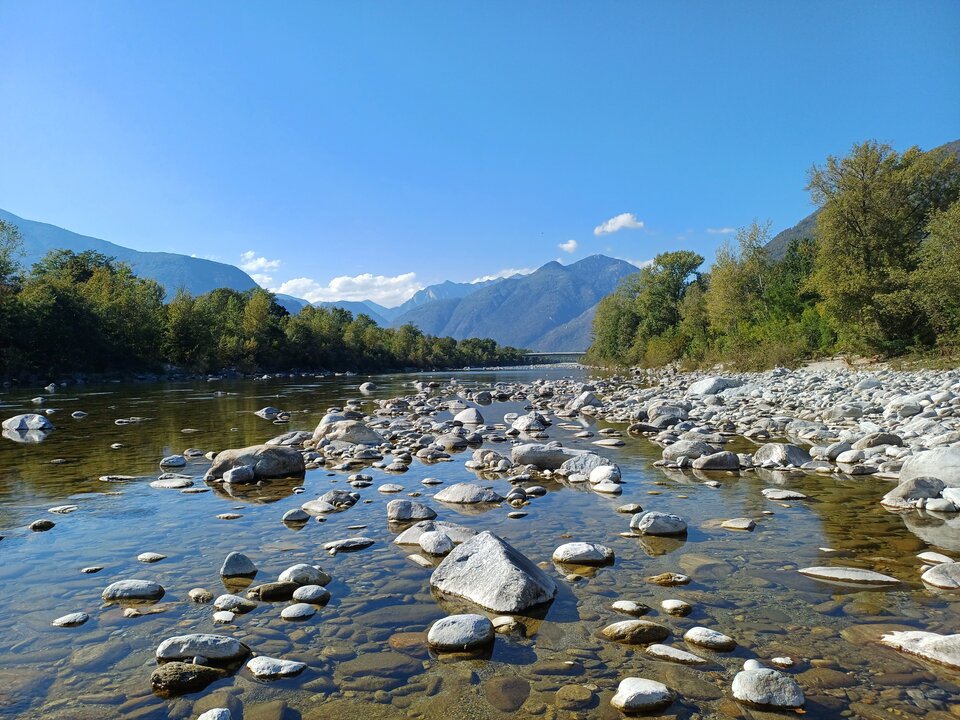 6180.jpg - Peregrin0