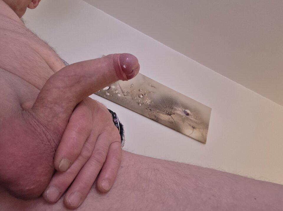 24095.jpg - Pansavage