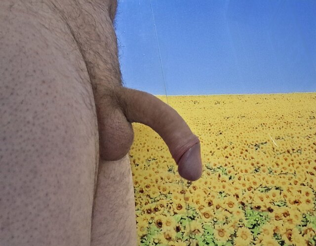 Tamarillo69