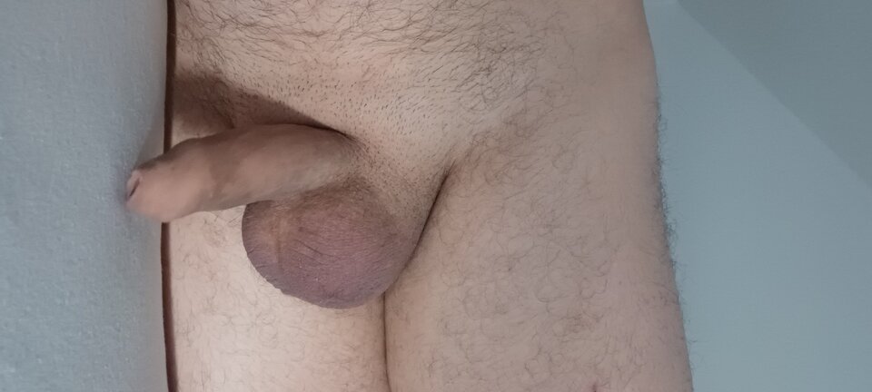 20260426_093247.jpg - Wpja