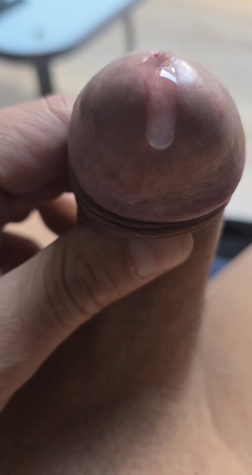 20260426_104649.jpg - kubotar