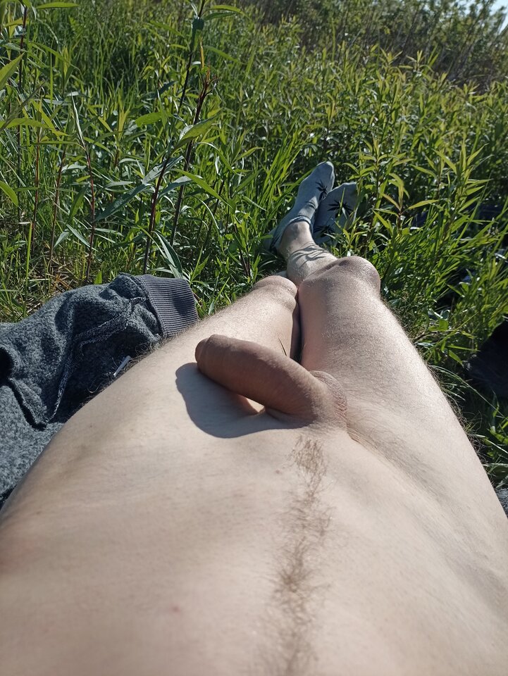 f17458e3-eda9-4695-a4a1-93f1c38ae4a4-1_all_248.jpg - Pz88