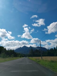 IMG_20230808_095746.jpg