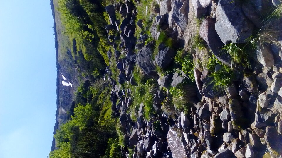 DSC_0488.JPG - Aktulizacje