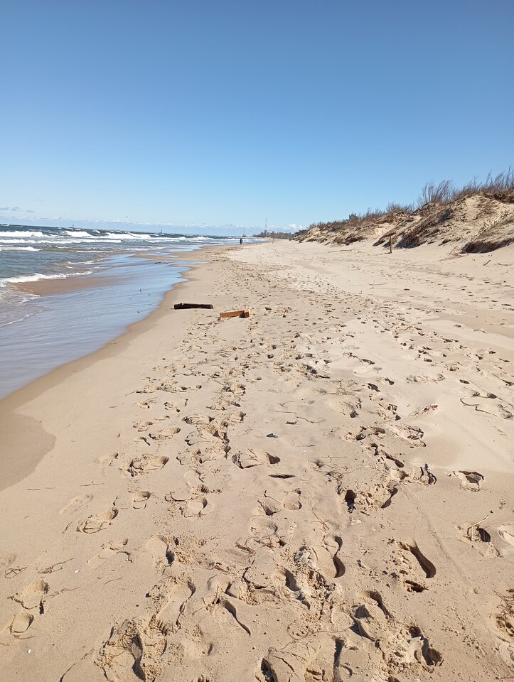 1000004871.jpg - novika84