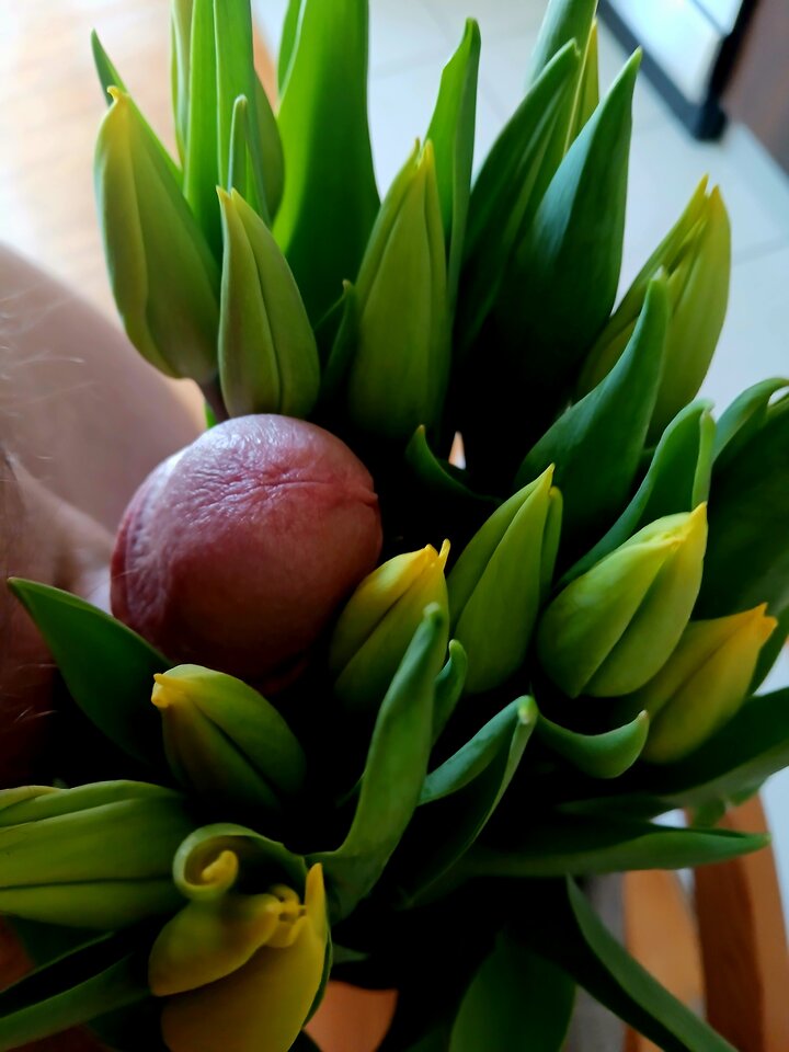 1000052611.jpg - Rownolegle69