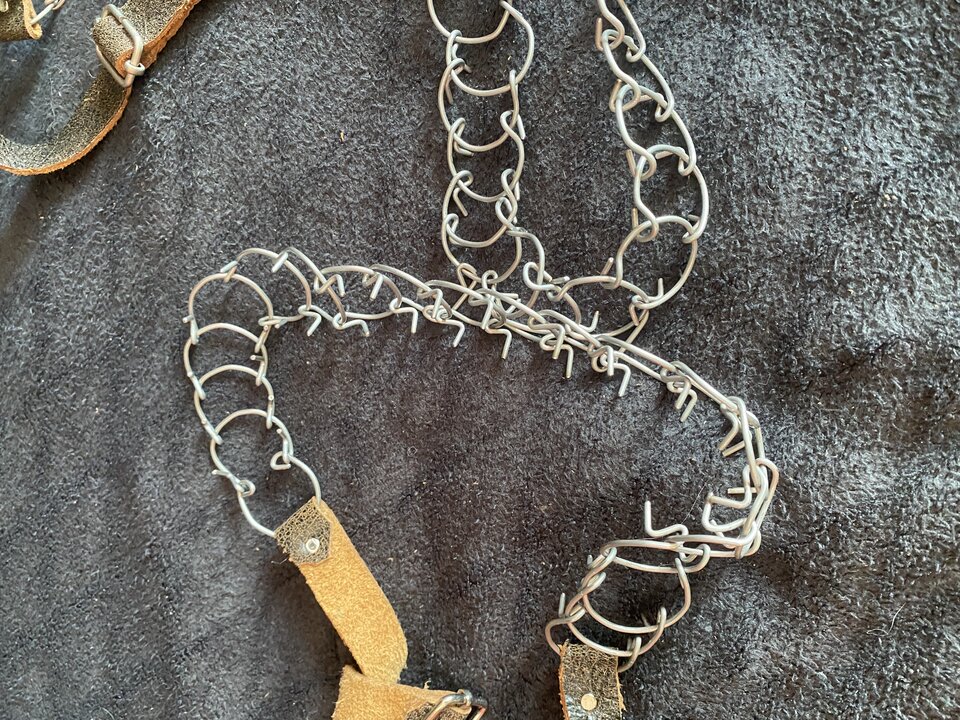 IMG_8802.jpeg - JarlSpank