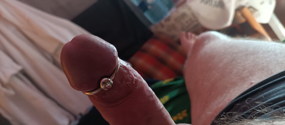 IMG_20260426_173317_946.jpg - konserwator1973