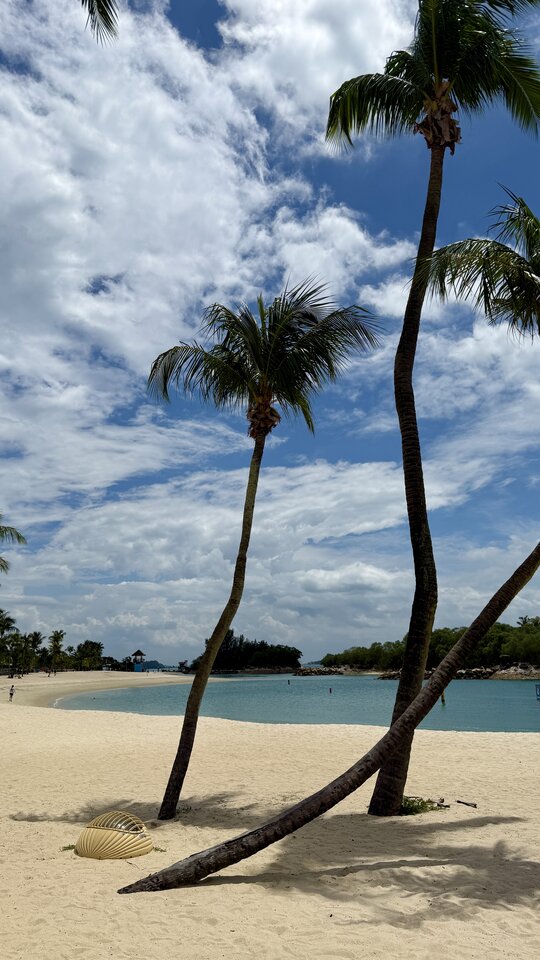 IMG_1436.jpeg - tom_tomeczek1