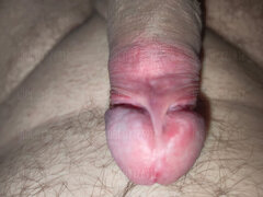 WhatsApp Image 201.17.jpeg