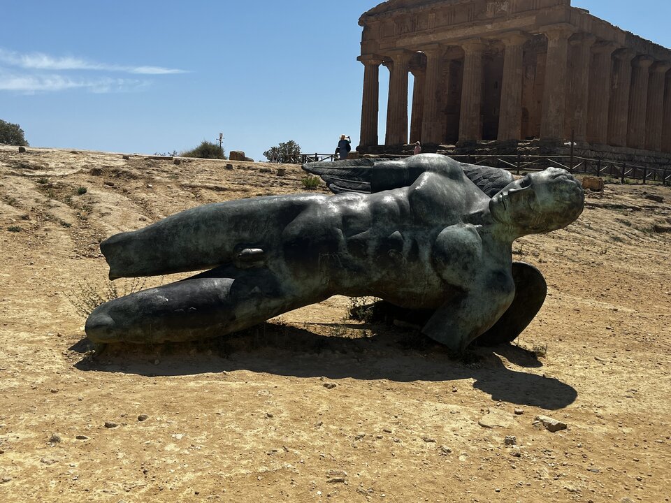 IMG_3561.jpeg - giovaniq