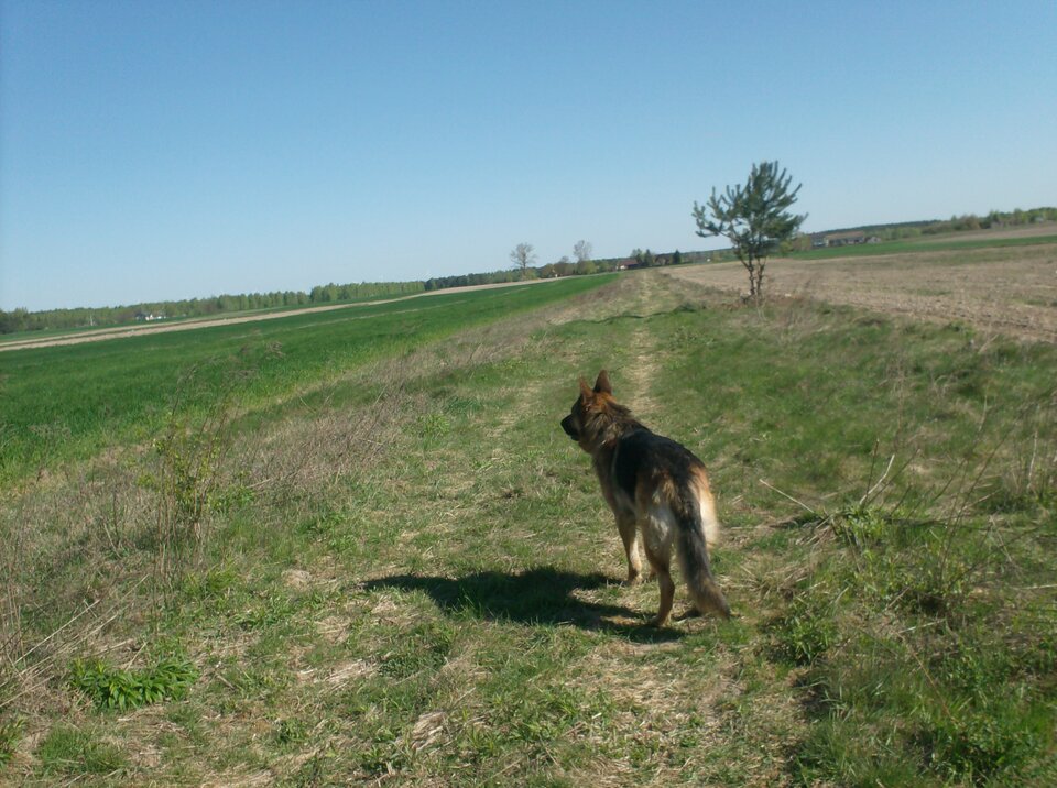 HPIM2605.JPG - Zenek1956