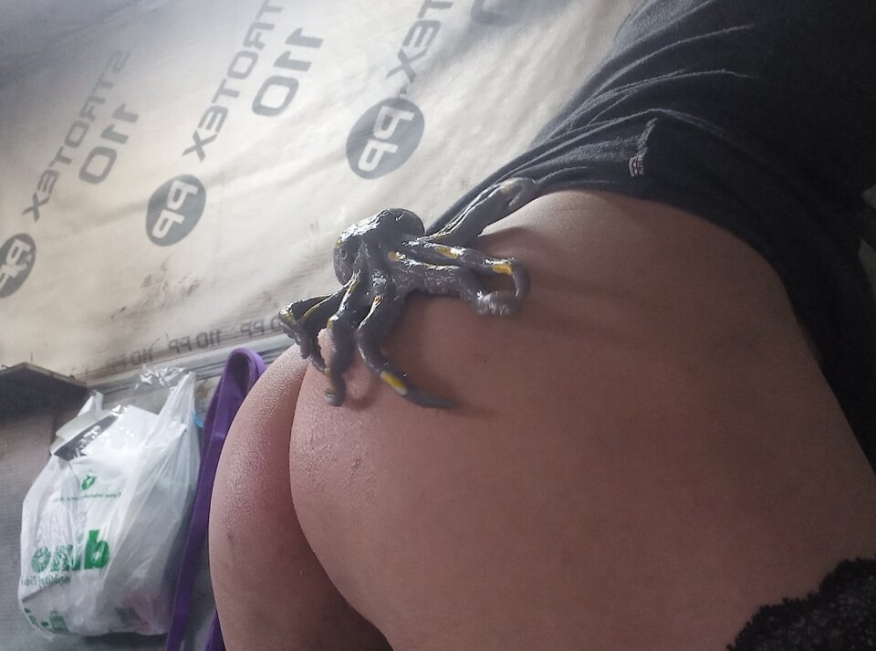 Screenshot_20260427-101502_Gallery.jpg - Suka474