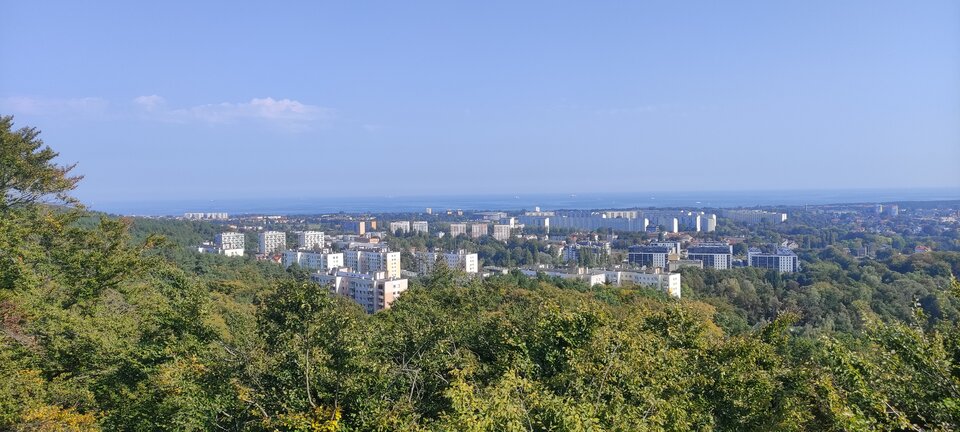 IMG_20240922_115059.jpg - Arturnylon