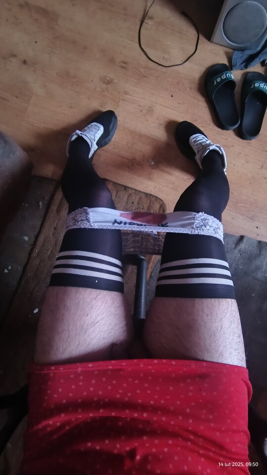 32c0993e-ba9e-42c8-a31a-1f2fffbd6106-1_all_889.jpg - CD_Pussy