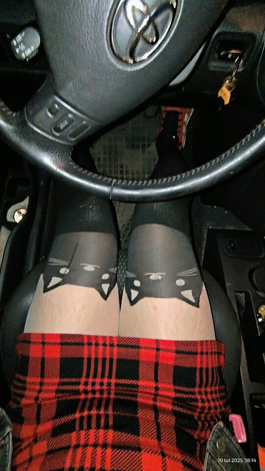 32c0993e-ba9e-42c8-a31a-1f2fffbd6106-1_all_935.jpg - CD_Pussy