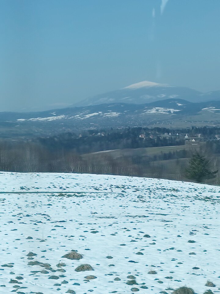 IMG_20260403_111809491.jpg - gryft