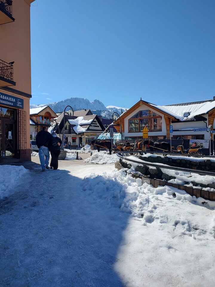 IMG_20260404_122449516_HDR.jpg - gryft