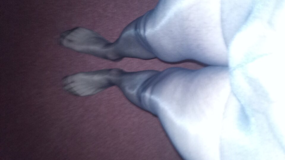 IMG_20250310_213736_8.jpg - MeskiCD