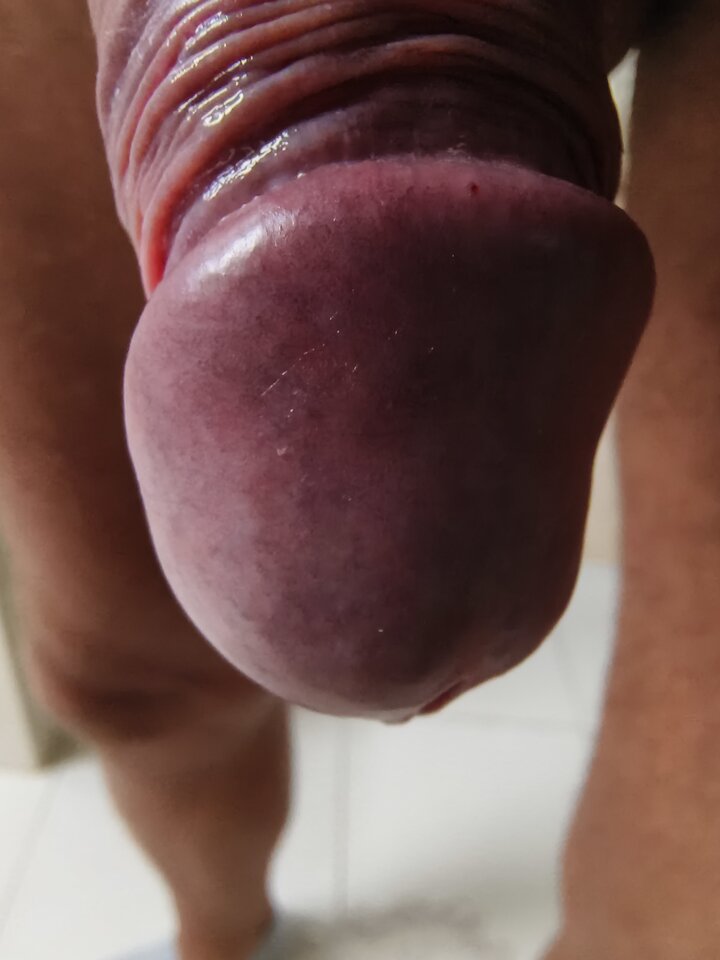 1000078707.jpg - Kosaan