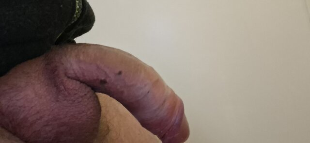 Penisek8892