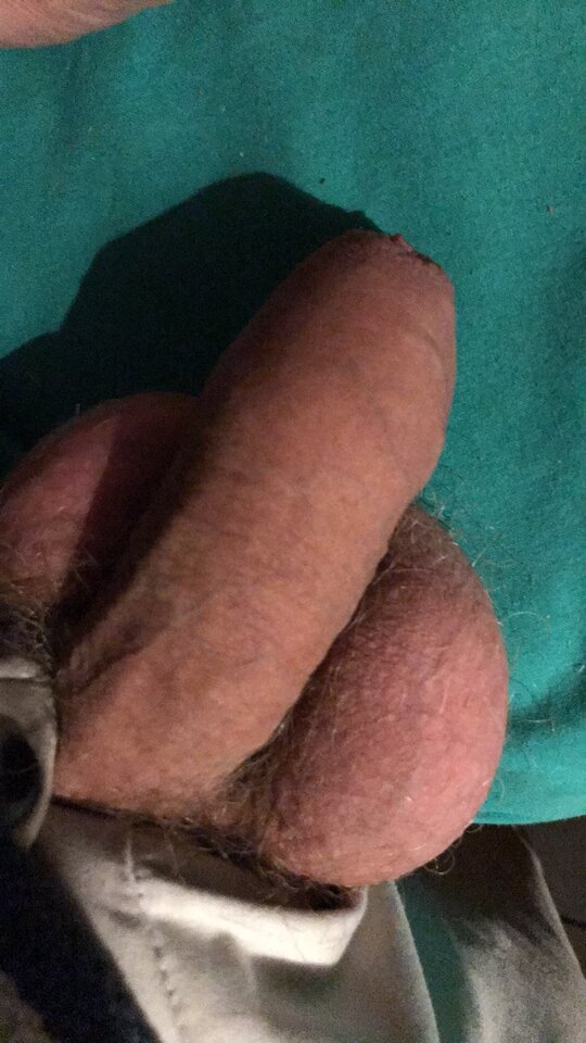 827a5d3d-9d71-48aa-bfd1-9d83c7700df0-1_all_735.jpg - MarcusMiller82