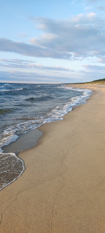 1000009672.jpg - mlodzipo40