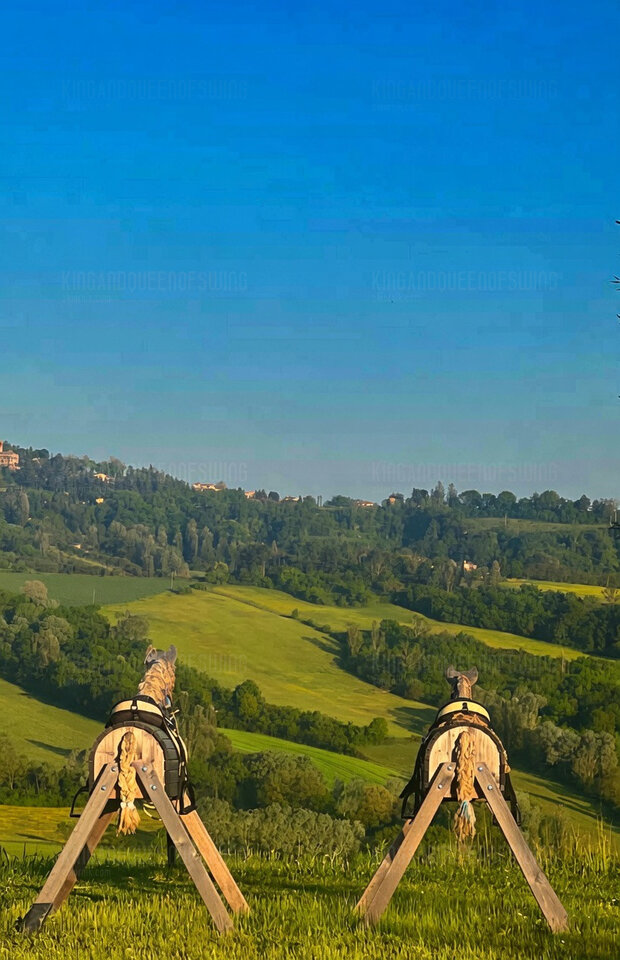 Urlopowo :) - KingAndQueenOfSwing