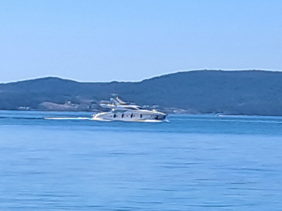 1000160298.jpg - Martikrysto75