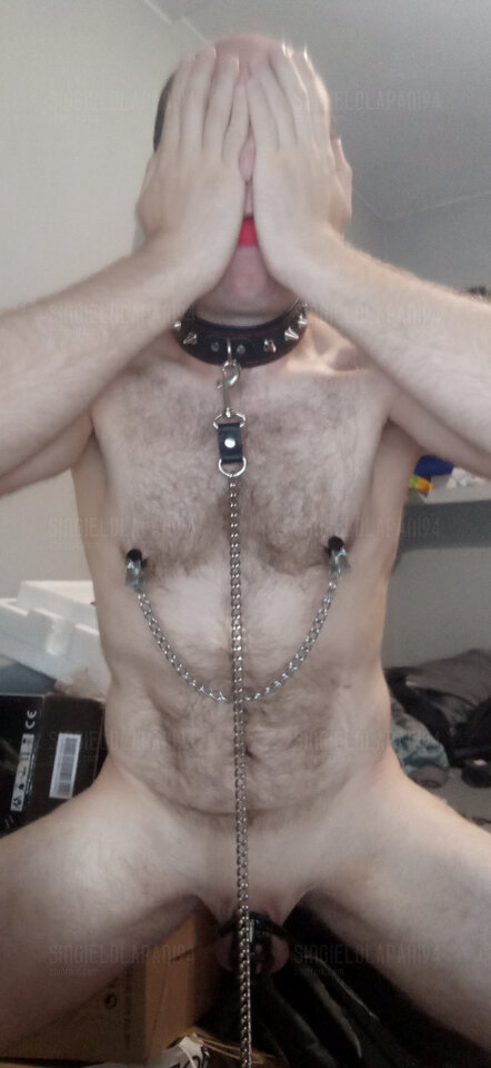 IMG_20250722_090703.jpg - SingielDlaPani94