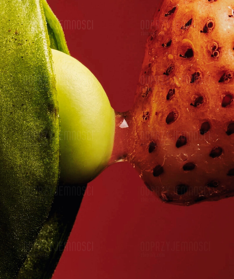 1000069432.jpg - oDPrzyjemnosci