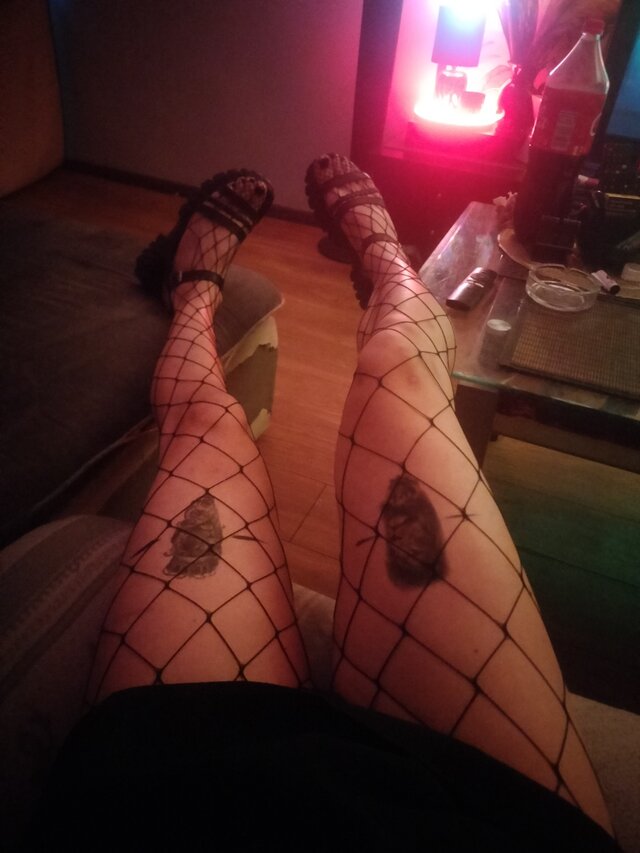 TransKitty