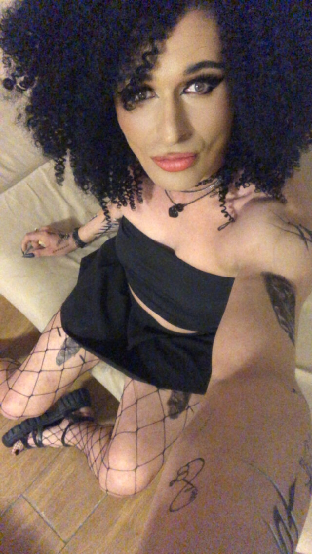 TransKitty