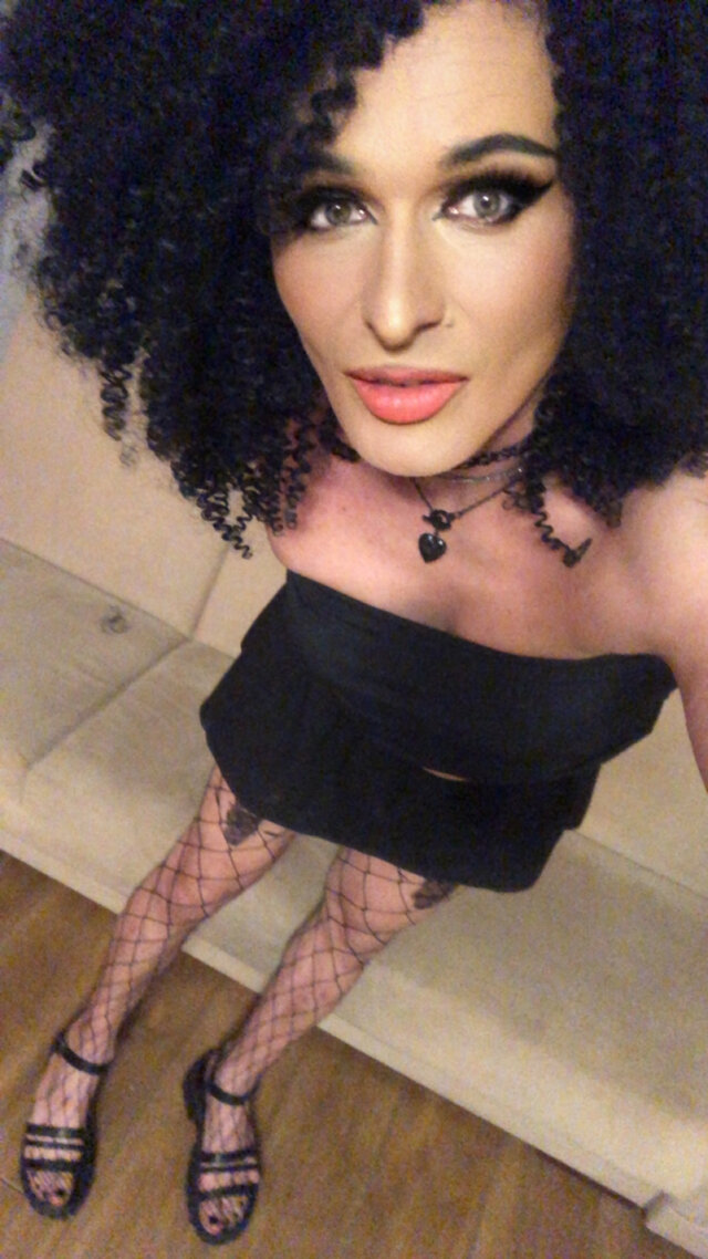 TransKitty