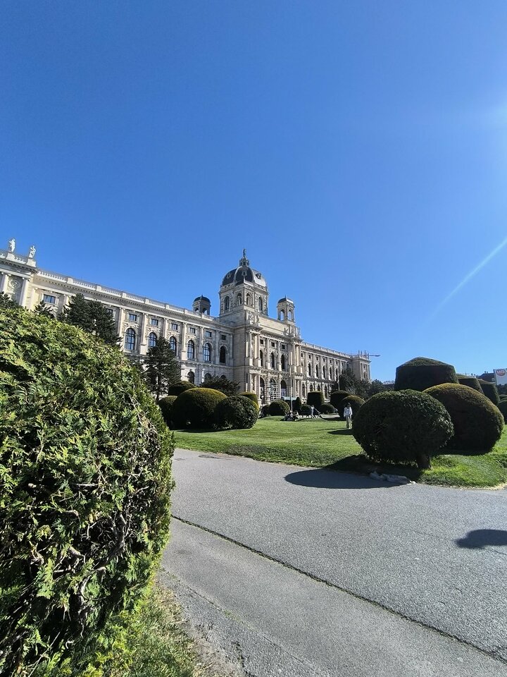 9771.jpg - Kwiatnocy00