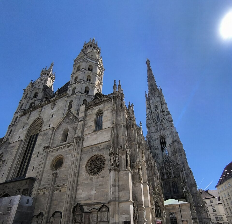 9774.jpg - Kwiatnocy00