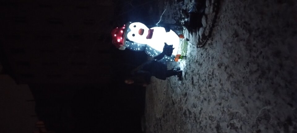 IMG_20260104_234127920.jpg - Hujwdupie1