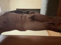 IMG_6441.jpeg