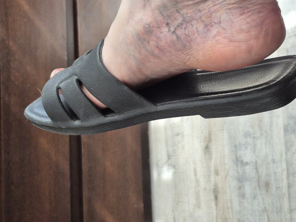 1000012729.jpg - zazdrosniksl