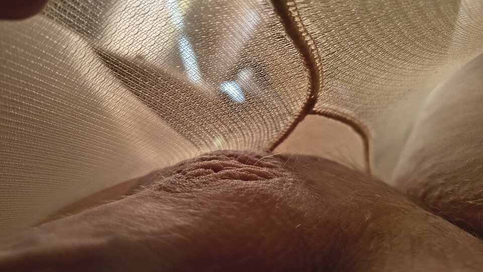 1000060709.jpg - Ph_secret_86