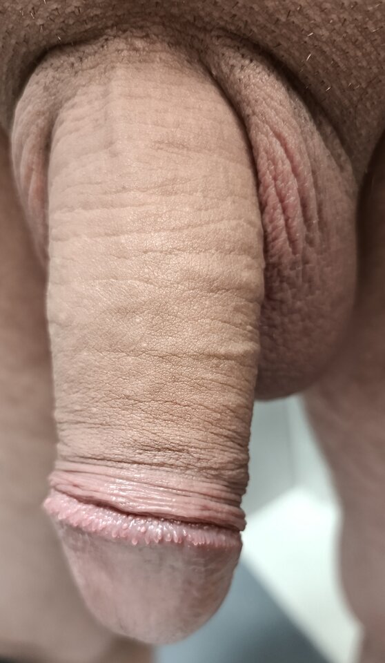 2881.jpg - lukanio1981